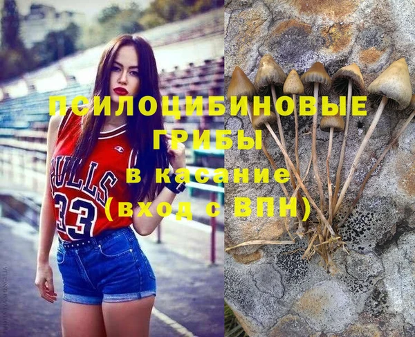 прущая мука Армянск