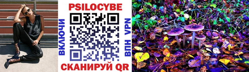 мориарти Telegram  Багратионовск  Галлюциногенные грибы Cubensis 